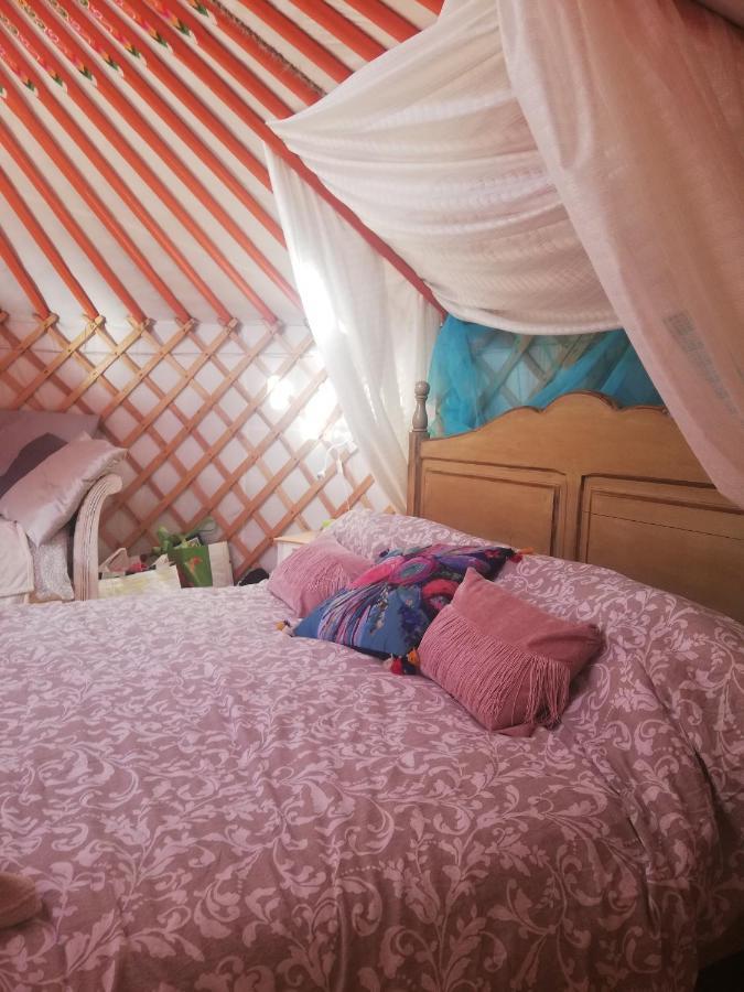 Yurta De Arico Ξενοδοχείο Arico Viejo Εξωτερικό φωτογραφία