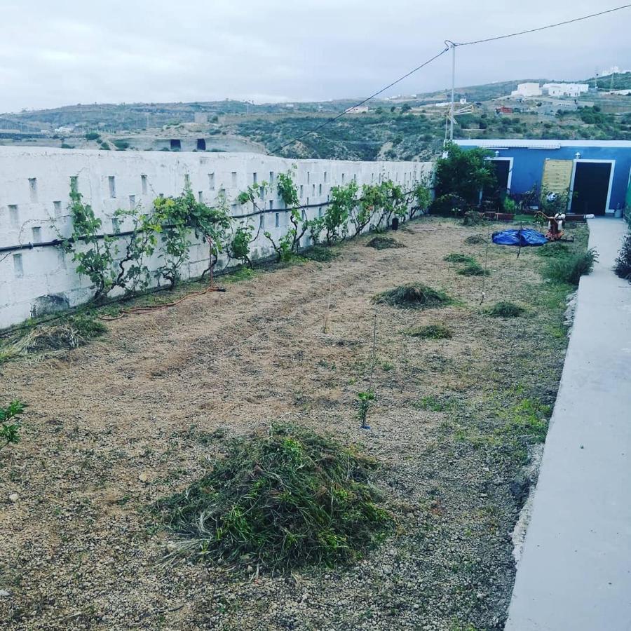 Yurta De Arico Ξενοδοχείο Arico Viejo Εξωτερικό φωτογραφία